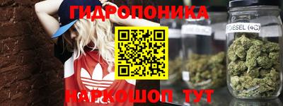 прущие грибы Краснознаменск