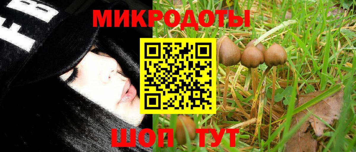 Псилоцибиновые грибы Psilocybine cubensis Красноармейск